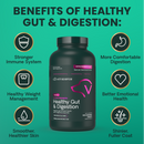 VetriScience Extra Strength Healthy Gut & Digestion Tablets for Dogs (120 Chewable Tablets) - Dog Supplements &