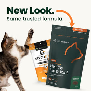 VetriScience Extra Strength Healthy Hip & Joint Chews for Cats (60 Soft Chews) - Hip & Joint Supplements for Cats 2