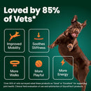 VetriScience Extra Strength Healthy Hip & Joint GlycoFlex Plus for Small Dogs Duck Flavor (60 Chews) - Pet Vitamins &