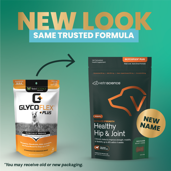 VetriScience GlycoFlex Plus for Small Dogs (60 chews) Duck Flavor - Pet Vitamins & Supplements 3