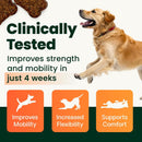 VetriScience Extra Strength Healthy Hip & Joint GlycoFlex Plus for Small Dogs Duck Flavor (60 Chews) - Pet Vitamins &