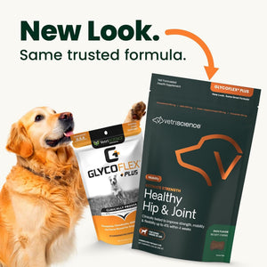 VetriScience Extra Strength Healthy Hip & Joint GlycoFlex Plus for Small Dogs Duck Flavor (60 Chews) - Pet Vitamins &