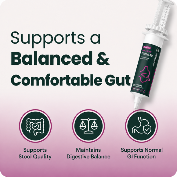 VetriScience Fast Balance G.I. Paste Gastrointestinal Support for Cats & Dogs (35 cc) - Dog Supplements & Vitamins 3
