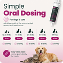 VetriScience Fast Balance G.I. Paste Gastrointestinal Support for Cats & Dogs (35 cc) - Dog Supplements & Vitamins 5