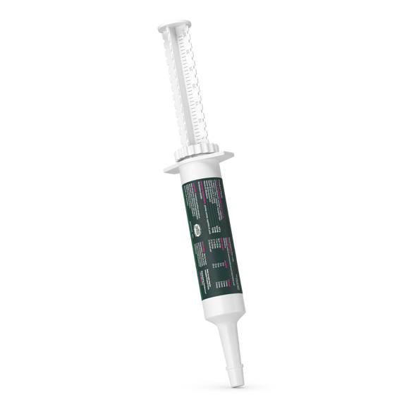 VetriScience Fast Balance G.I. Paste Gastrointestinal Support for Cats & Dogs (35 cc) - Dog Supplements & Vitamins 6