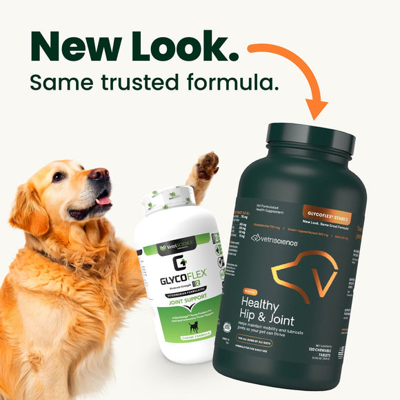 VetriScience GlycoFlex 2 Joint Supplement for Dogs (120 chewable tablets) - Dog Supplements & Vitamins 2