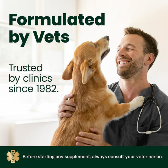 VetriScience GlycoFlex 2 Joint Supplement for Dogs (120 chewable tablets) - Dog Supplements & Vitamins 10