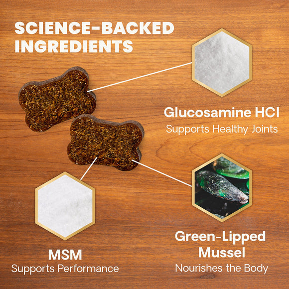 Extra Strength Healthy Hip & Joint Chews for Dogs Chicken Flavor