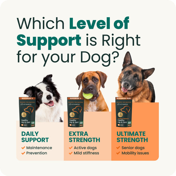 VetriScience GlycoFlex 3 Extra Strength Healthy Hip & Joint Chews for Dogs Chicken Flavor (120 Soft Chews) - Dog