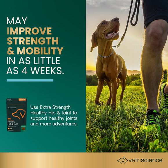 Extra Strength Healthy Hip & Joint Chews for Dogs Chicken Flavor