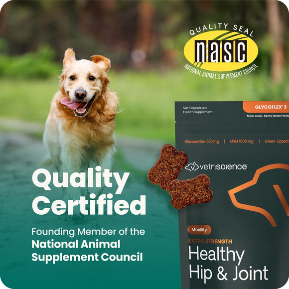 VetriScience GlycoFlex 3 Extra Strength Healthy Hip & Joint Chews for Dogs Chicken Flavor (120 Soft Chews) - Dog