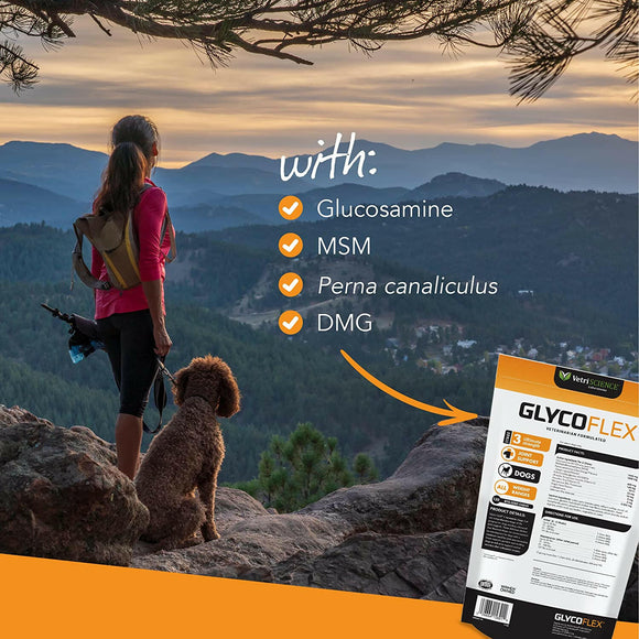 VetriScience GlycoFlex 3