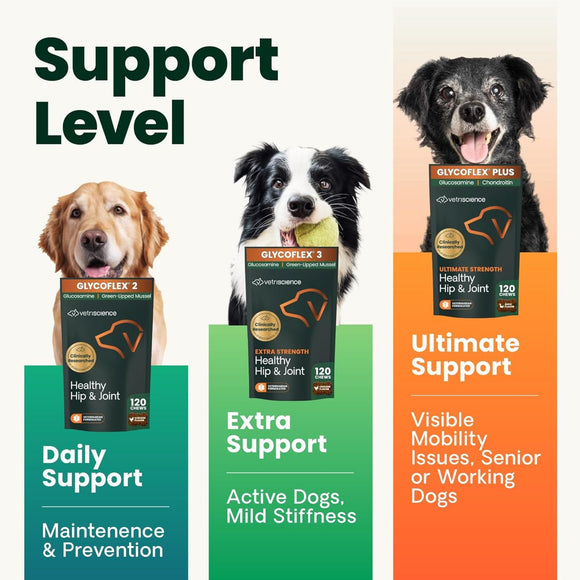 VetriScience GlycoFlex Plus Joint Supplement for Dogs (120 chewable tablets) - Dog Supplements & Vitamins 2