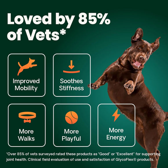 VetriScience GlycoFlex Plus Joint Supplement for Dogs (120 chewable tablets) - Dog Supplements & Vitamins 5