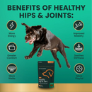 VetriScience GlycoFlex Plus Soft Chews for Dogs Duck Flavor - Dog Vitamins & Supplements 5