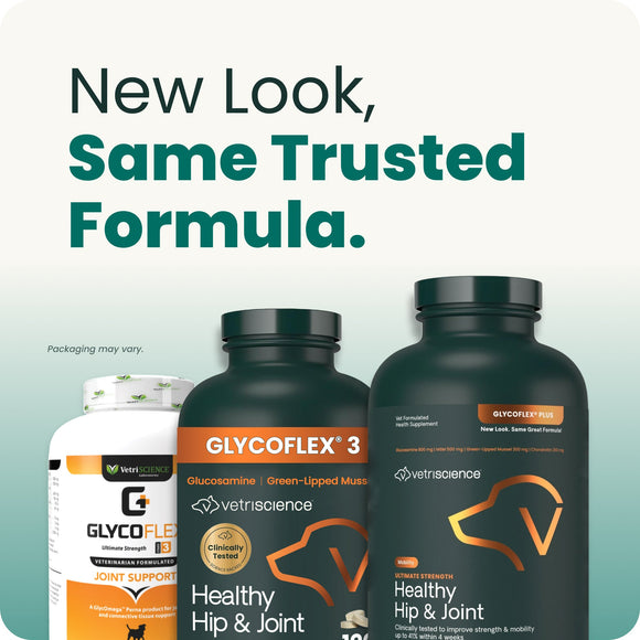 VetriScience GlycoFlex Stage 3 Joint Supplement for Dogs (120 chewable tablets) - Dog Supplements & Vitamins 7