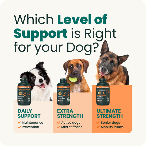 VetriScience GlycoFlex Stage 3 Joint Supplement for Dogs (120 chewable tablets) - Dog Supplements & Vitamins 10