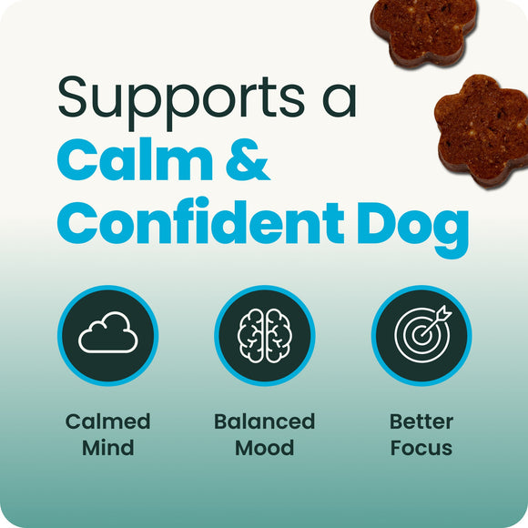 VetriScience Golden Years Calm & Confident Behavior Chew Supplement for Senior Dogs (60 chews) - Dog Supplements &