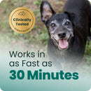 VetriScience Golden Years Calm & Confident Behavior Chew Supplement for Senior Dogs (60 chews) - Dog Supplements &