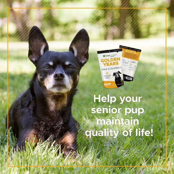 vetriscience golden years for dogs help maintain quality of life