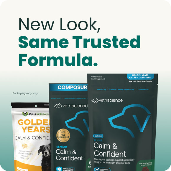 VetriScience Golden Years Calm & Confident Behavior Chew Supplement for Senior Dogs (60 chews) - Dog Supplements &