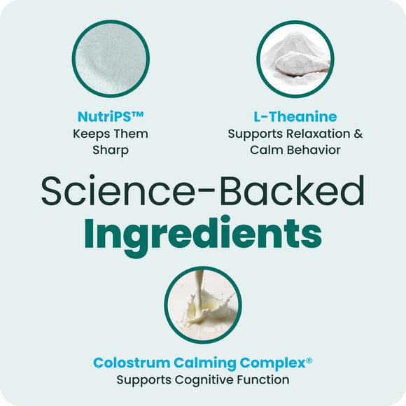 VetriScience Golden Years Calm & Confident Behavior Chew Supplement for Senior Dogs (60 chews) - Dog Supplements &