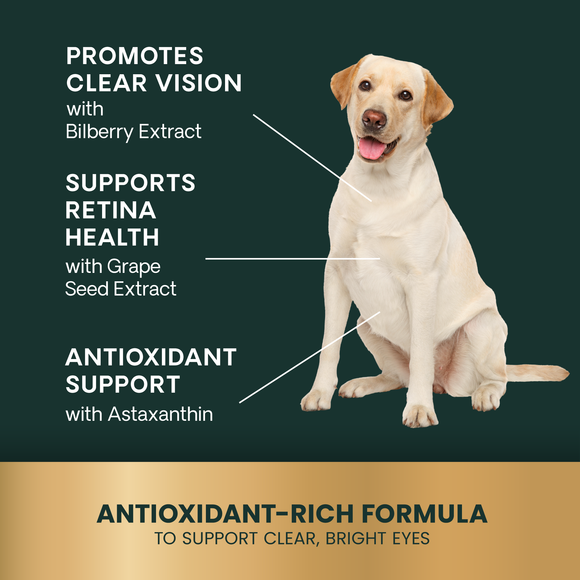 VetriScience Golden Years Clear and Bright Eye Health for Senior Dogs (60 soft chews) - Dog Supplements & Vitamins 6