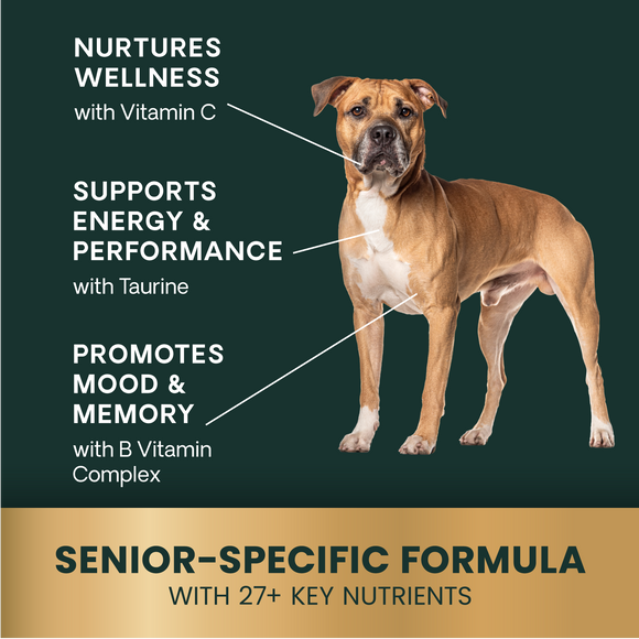 VetriScience Golden Years Energize and Thrive Multivitamin for Senior Dogs (60 soft chews) - Dog Supplements & Vitamins