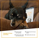 VetriScience Golden Years Energize and Thrive Multivitamin for Senior Dogs (60 soft chews)