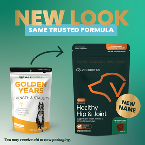 VetriScience Golden Years Strength and Stability Joint Support for Senior Dogs (60 soft chews) - Dog Supplements &