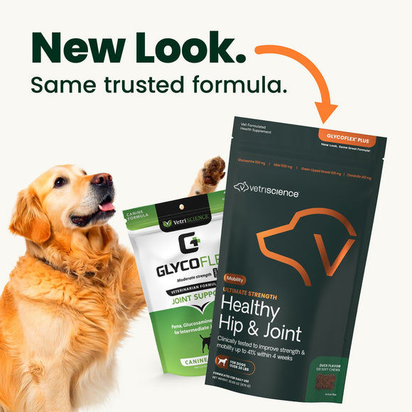 VetriScience Healthy Hip & Joint Chews for Dogs Chicken Flavor (120 Soft Chews) - Dog Supplements & Vitamins 2