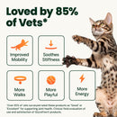 VetriScience Healthy Hip & Joint Glycoflex Plus Granules for Cats 3.17-oz - Cat Health Care & Wellness 5