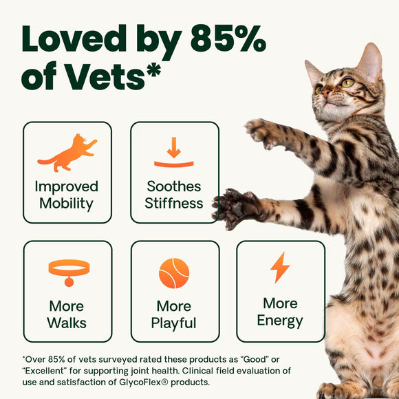 VetriScience Healthy Hip & Joint Glycoflex Plus Granules for Cats 3.17-oz - Cat Health Care & Wellness 5