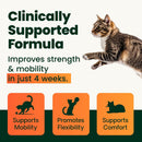 VetriScience Healthy Hip & Joint Glycoflex Plus Granules for Cats 3.17-oz - Cat Health Care & Wellness 2