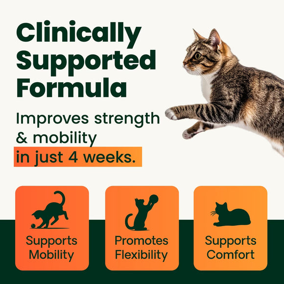 VetriScience Healthy Hip & Joint Glycoflex Plus Granules for Cats 3.17-oz - Cat Health Care & Wellness 2
