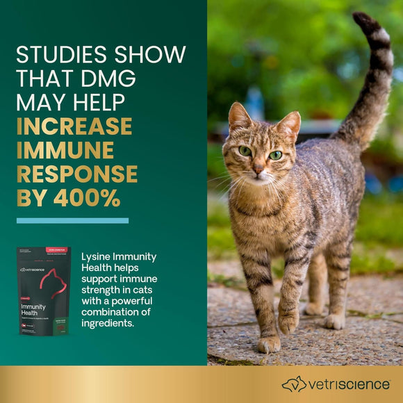 VetriScience Healthy Immunity Lysine Plus Chews for Cats - Cat Supplements & Vitamins 3