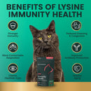VetriScience Healthy Immunity Lysine Plus Chews for Cats - Cat Supplements & Vitamins 4