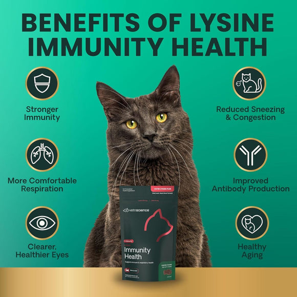 VetriScience Healthy Immunity Lysine Plus Chews for Cats - Cat Supplements & Vitamins 4