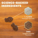 VetriScience Healthy Immunity Lysine Plus Chews for Cats - Cat Supplements & Vitamins 5