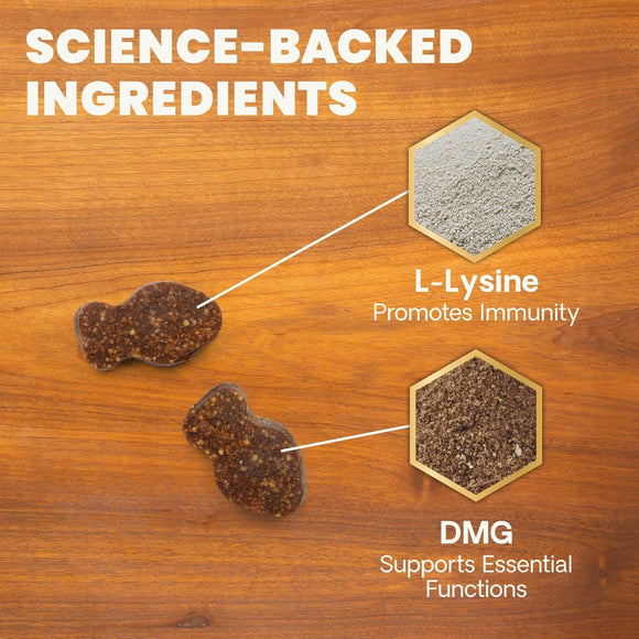 VetriScience Healthy Immunity Lysine Plus Chews for Cats - Cat Supplements & Vitamins 5