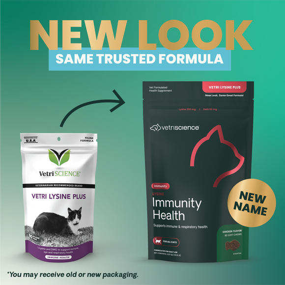 VetriScience Healthy Immunity Lysine Plus Chews for Cats - Cat Supplements & Vitamins 2