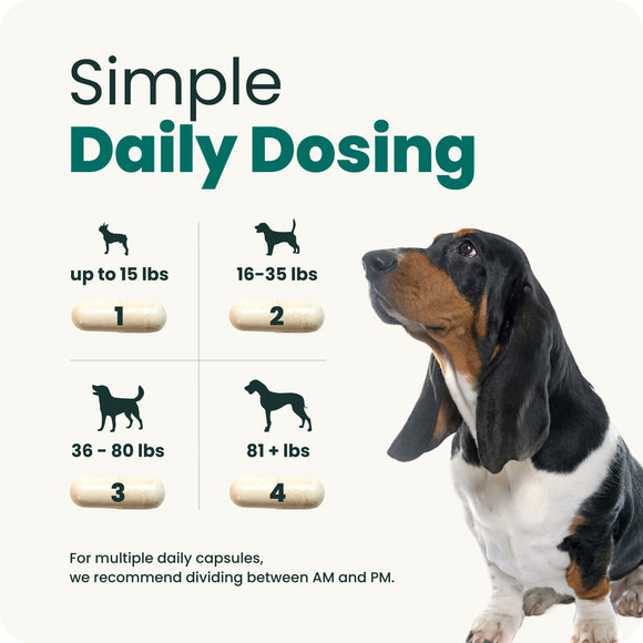 VetriScience Healthy Spine & Disc Capsule for Dogs (180 Capsules) - Dog Supplements & Vitamins 6