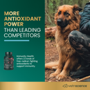 VetriScience Immune Plus for Dogs - Dog Supplements & Vitamins 3