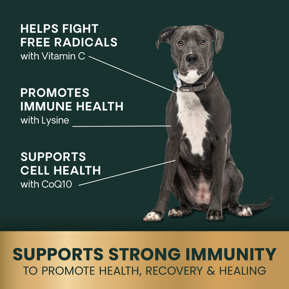 VetriScience Immune Plus for Dogs - Dog Supplements & Vitamins 5