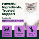 VetriScience Kidney Health Renal Essential Granules for Cats 2.54-oz - Cat Health Care & Wellness 2