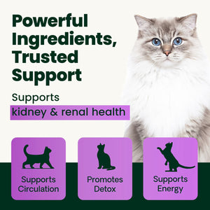 VetriScience Kidney Health Renal Essential Granules for Cats 2.54-oz - Cat Health Care & Wellness 2