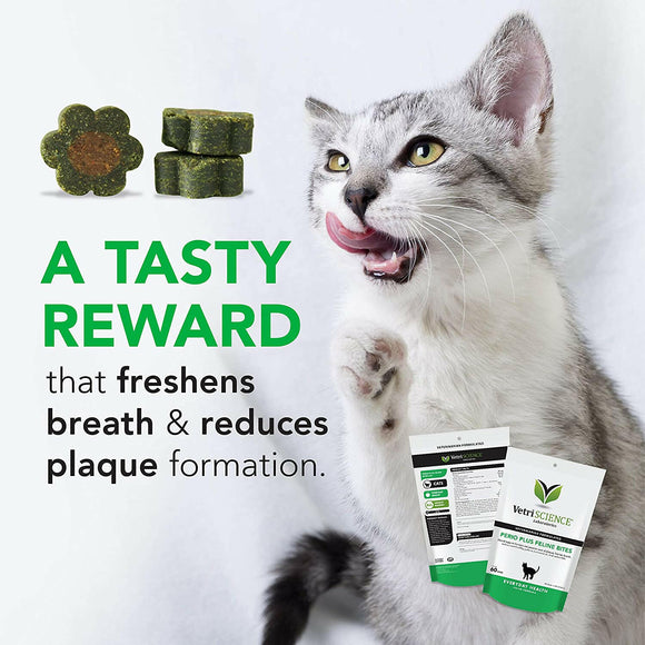 VetriScience Perio Plus Feline Dental Bites (60 count)
