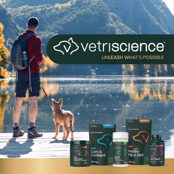VetriScience Perio Plus Feline Dental Bites (60 count) - Cat Treats 7