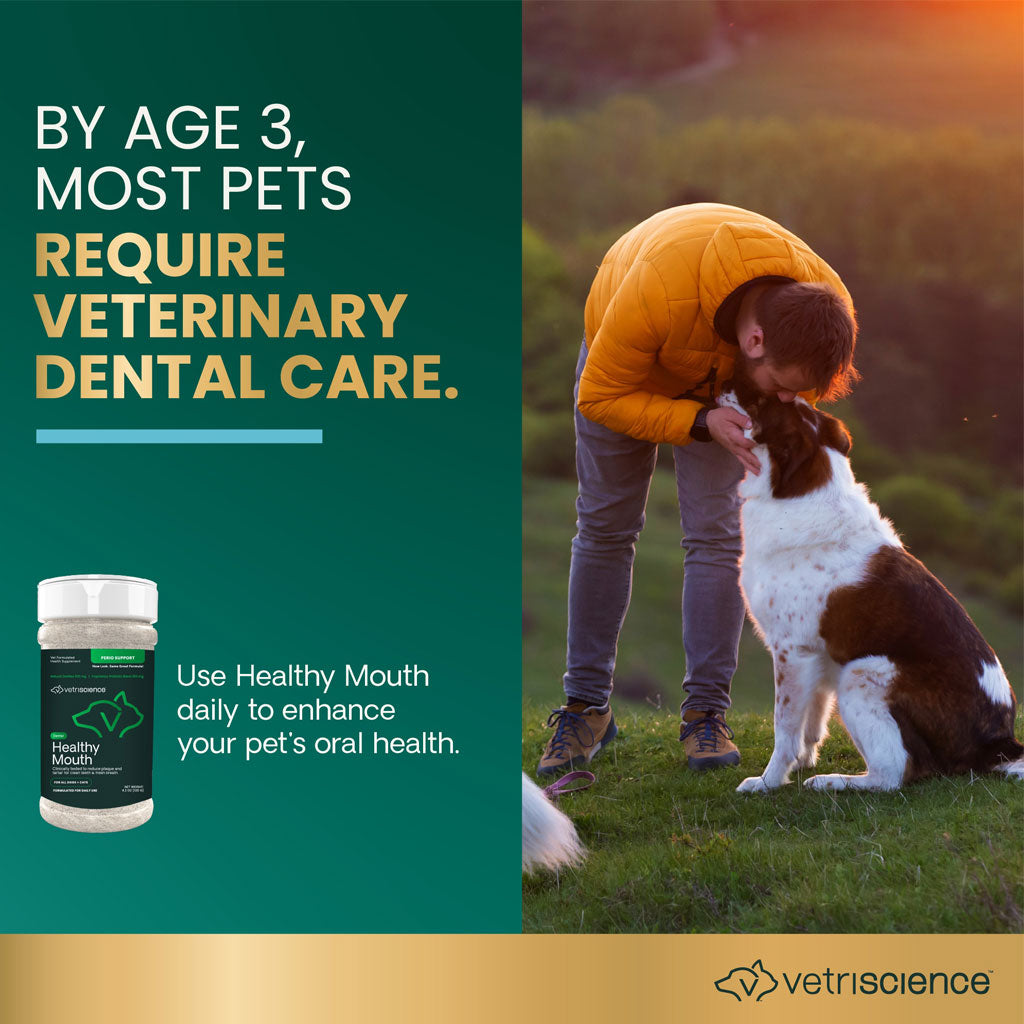VetriScience Perio Support Dental Powder for Cats & Dogs