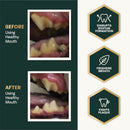 VetriScience Perio Support Powder Dental Supplement for Cats & Dogs - Dog Supplements & Vitamins 4